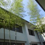 気持ちの良い気候です