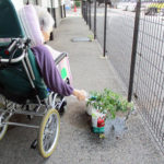 毎日ご利用者さまが水やりをしています