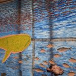 ジンベエザメやイワシなど