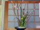 生花クラブで春の花をいけました