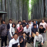野宮神社の竹林散策