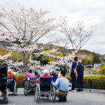 桜を眺めて会話も弾みました