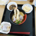 天ぷらうどん定食です。